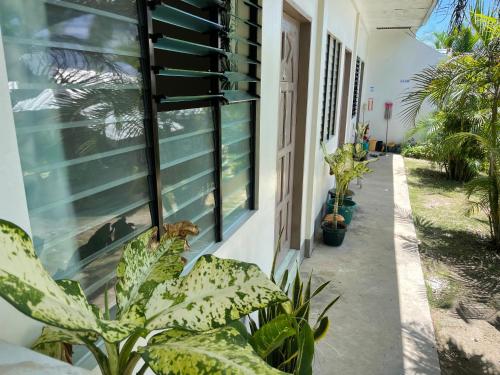 D' Partner's Inn in Jagna