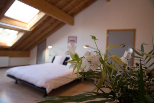 Hôtel du Vieux Moulin Hotel de charme Bois de Daverdisse