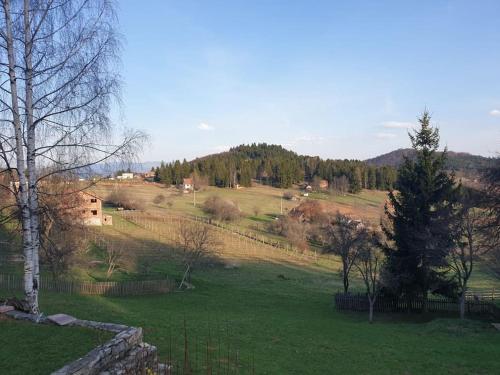 A környék, Kuća za odmor - Martić, Rudno, Golija (Kuca za odmor - Martic, Rudno, Golija) in Rudno