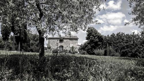 Podere Pievina Delle Corti - Dimora di Campagna - Accommodation - Sinalunga