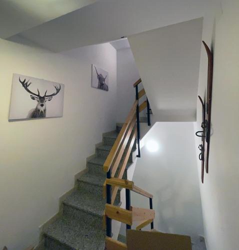 Apartaments Albiñana (Apartaments Albinana) in Llavorsi
