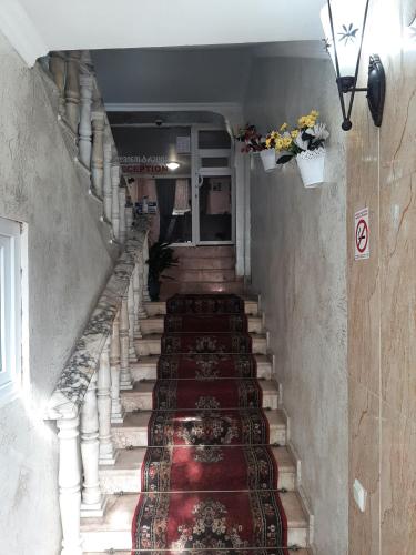 Tokaplus – Batumi, IL