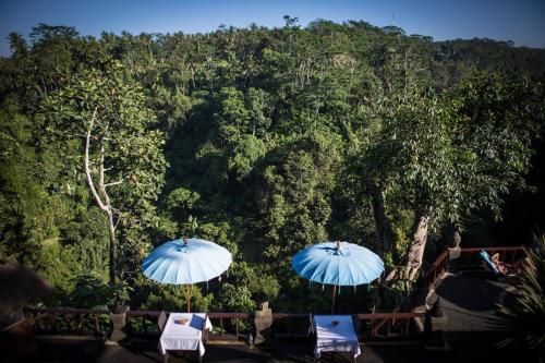 Villa Kalisat Resort – Ubud, CO