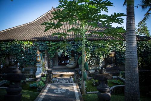 Villa Kalisat Resort – Ubud, CO