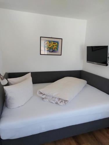 Haus Kreidl – Mayrhofen, IL