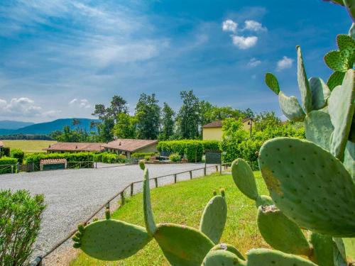 Accommodation in San Macario In Piano