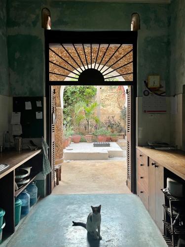 Konyha, Subira House in Lamu