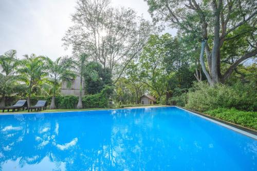 Palm Paradise Cabanas and Villas