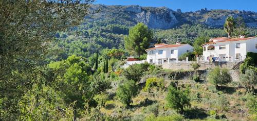  Casa de limones in Campell