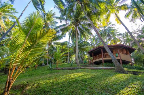  Palm Paradise Cabanas & Villas Beach Resort, Hotel