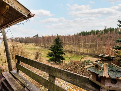 Cozy holiday home in the Harz Mountains with fireplace and garden