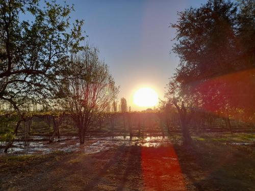 Entre viñas, sol y montañas