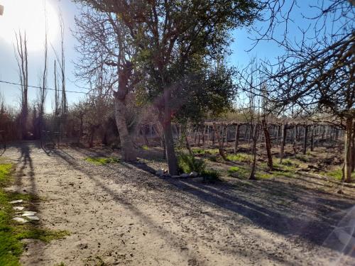 Entre viñas, sol y montañas