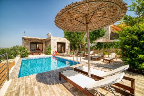 Luxury villa Taf - Olive luxury villas gîte à louer Mándres