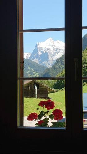 View, Alpenparadies Grindelwald in Lutschental
