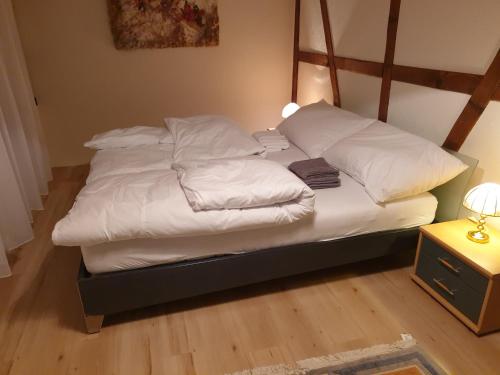 Mornag AG Ferien Wohnung in Weesen