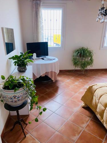 B&b Daghio Kombat style chambre d'hôte Bosellina