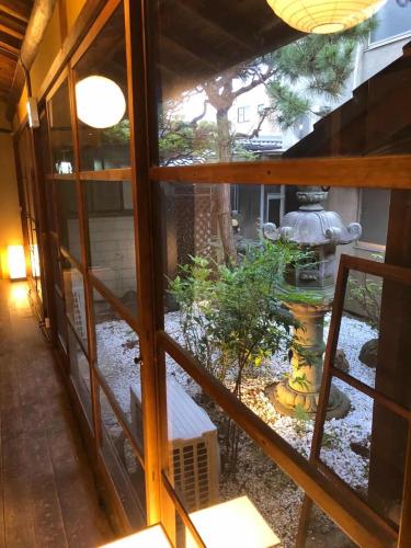 仔鹿 kojika, Nara (fotografie 11)