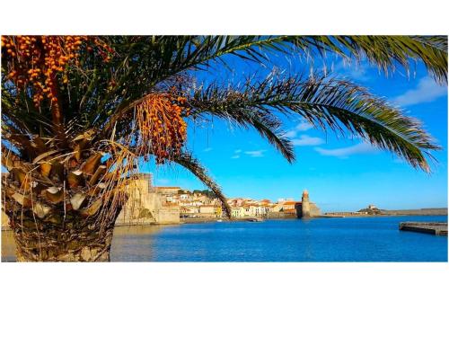 Résidence du Soleil - Location saisonnière - Collioure