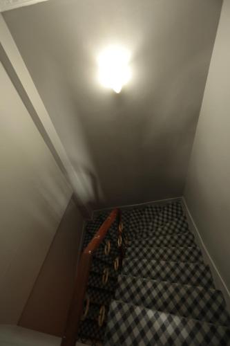 White Pearl Apart - image 7