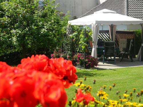 Gästehaus Kehne - Horn-Bad Meinberg