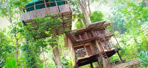 Jungle Tree House Munnar - Kottagudi