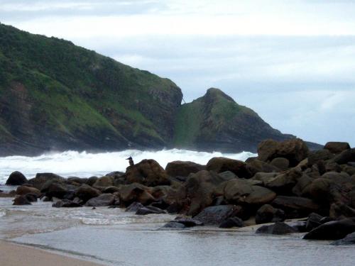 Beach, Delicious Monster Accommodation in Port St Johns