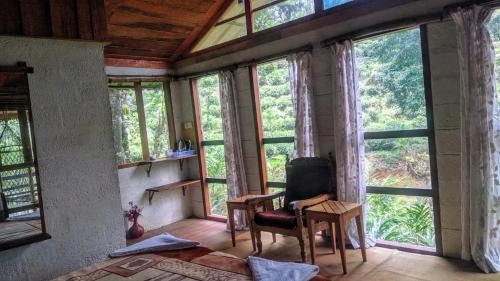 Studio with Garden View image 2