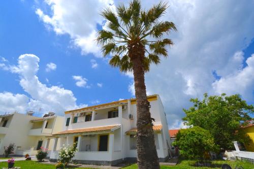 Dolphin Apt & Studios -Near the Beach 4