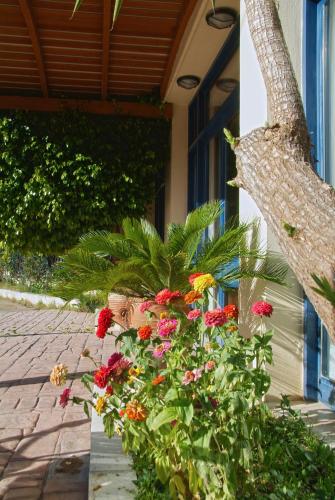 출입구, Hotel Kalafati in 이타