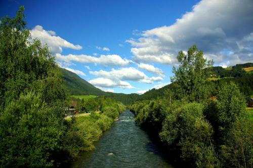 Pension Leyrer - image 14
