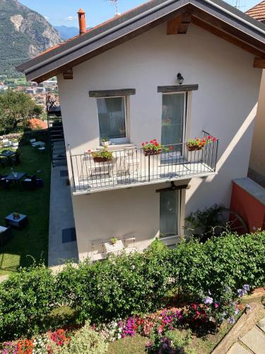  Il riccio di Ricciano in Casale Corte Cerro