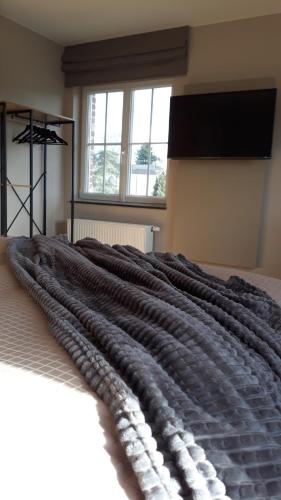 B&B Valant, Bruges (foto 5)