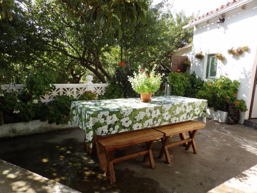  Casa Rural Isabel in Vilaflor