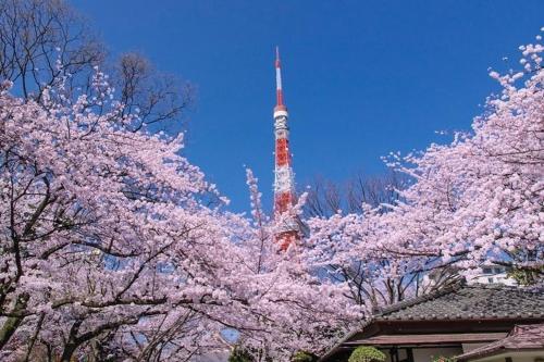 東京華館
