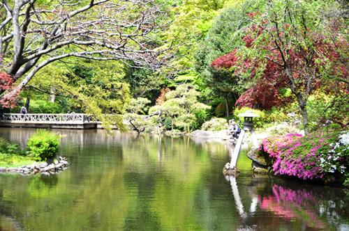 東京華館