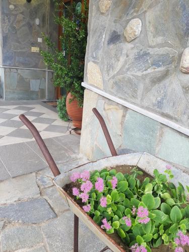 Metoxi Hotel - Tap to explore photos