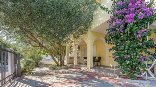  Apartmani KATARINA in Drage