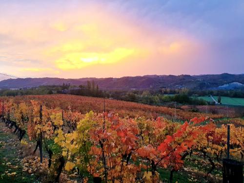 Apkārtne, Castello di Tagliolo Wine Resort in Tagliolo Monferrato