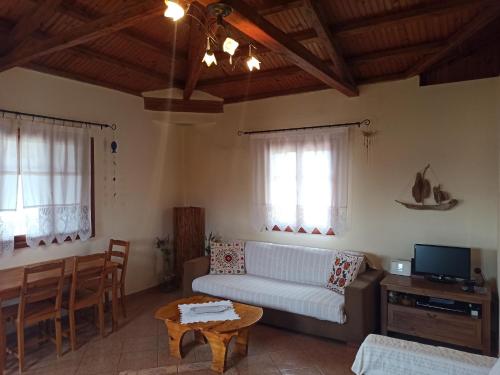 設施, Villa Oceanis - Luxury Seaside Villa in 卡拉馬基亞