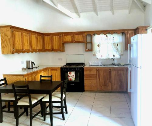 廚房, Bay View Apartment 4 - Canouan Island in 卡諾安島