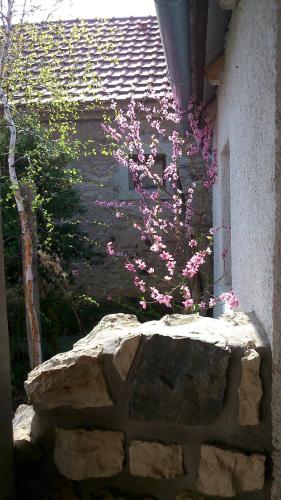 Sliwa Vendégház - image 12