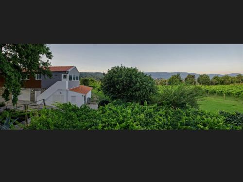 Quinta da Teimosa - image 3