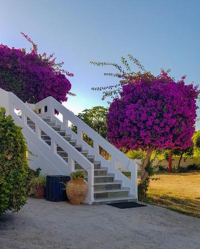 Giannis & Maria Gramvousaki Apts, Agia Marina (Foto 3)