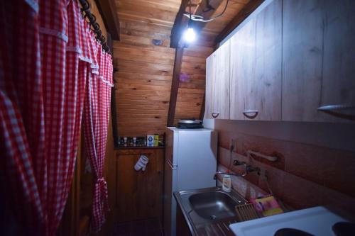 Vila Jovanovic - image 12
