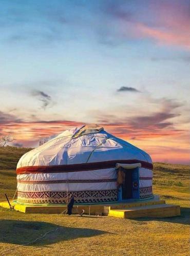 Юрта Qyran