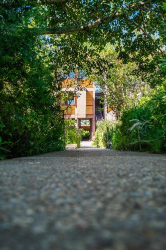 Archaeological Zone Tepozteco