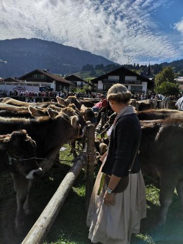 Ferienwohnung Alpenherz