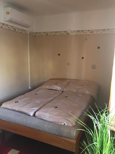 Edu Apartman