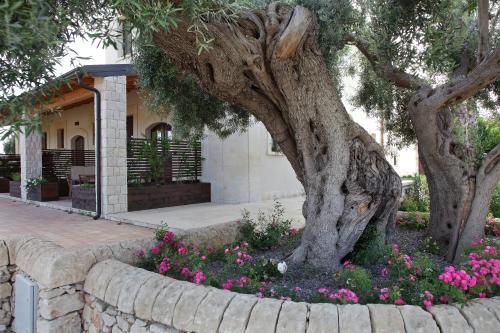 Casal Sikelio - image 5